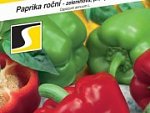 Výprodej - Paprika Saskia F1 15s ♛ - Výprodej